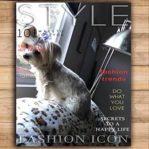 Meet your Posher, Shelley